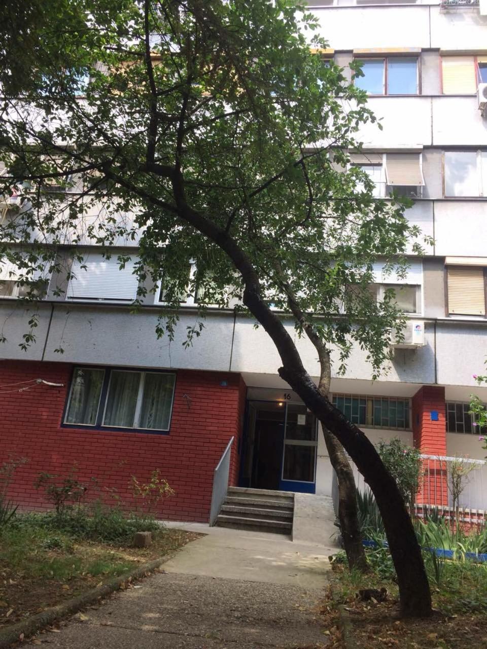 Vortexluxapatman Belgrade